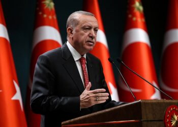 اردوغانیسم در بازارهای نوظهور