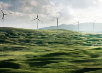 حقیقت تلخ اقتصاد سبز