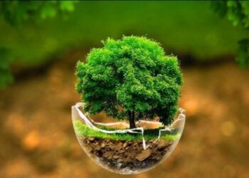 افسانه «بانک سبز»