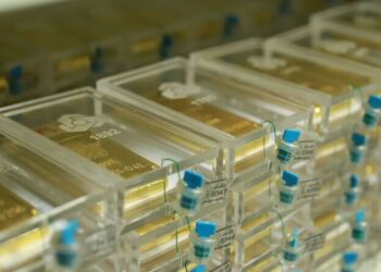 چرا از خرید گواهی شمش طلا استقبال شد