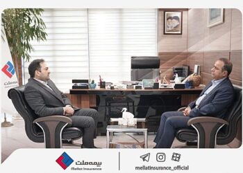 آمادگی بیمه ملت برای افزایش همکاری‌ با سندیکای بیمه گران ایران
