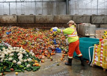 یک‌سوم غذا در جهان خورده نمی‌شود!