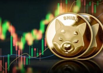 سورپرایز شیبا برای کریسمس در راه است؟