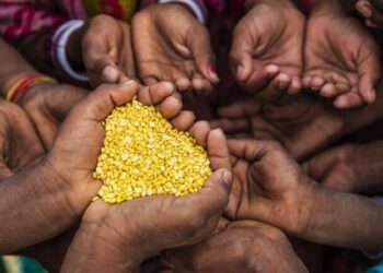 سامانه‌های تأمین مواد غذایی؛ ابعاد و رویکردها