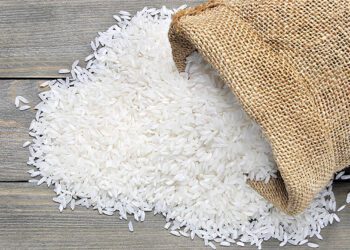 پشت پرده مافیای واردات برنج