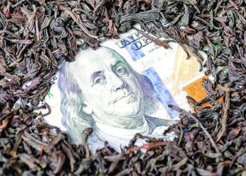 اتفاق عجیب در پرونده فساد چای