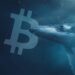 نهنگ های بیت کوین از خواب ۵ ساله بیدار شدند