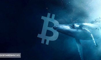 خیانت نهنگ های بیت کوین!