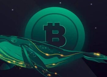 نهنگ ها بیت کوین را بالا کشیدند