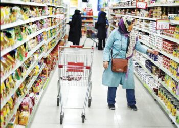 آفت اقتصادی یارانه دوبله