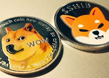 شیبا اینو و دوج کوین در حال سقوط!