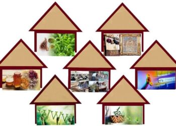 مشاغلی که در دوران تورم می مانند و آن هایی که می میرند؟