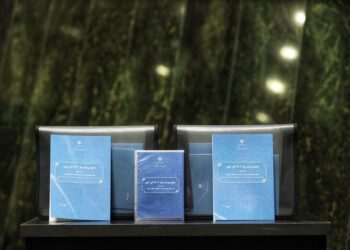 بودجه تورمی