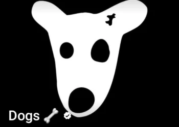 کشف ساده‌ترین روش تبدیل ارز داگز به ریال!