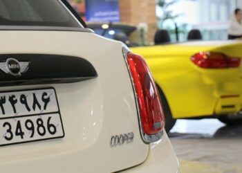 آغاز واردات خودرو از منطقه آزاد ارس