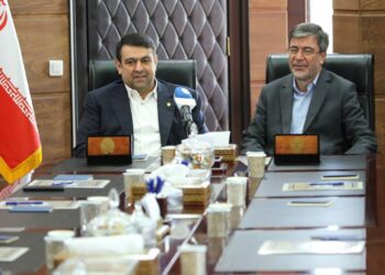 همکاری بیمه ایران و بانک ملی ایران