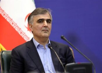 انتقاد فرزین از FATF: تحریم‌ها داخلی می‌شوند!