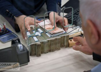 کم کاری بانک‌ها در حوزه وام مشاغل خانگی/ فقط ۲۵ درصد از سهمیه پرداخت شد!