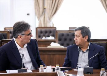 سکوت مرگبار ارزی