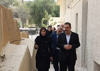 بیمه ایران‌ معین