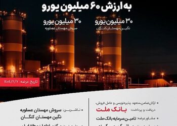انتشار ۶۰ میلیون یورو اوراق مرابحه ارزی بانک ملت برای 2 پروژه بزرگ پتروشیمی