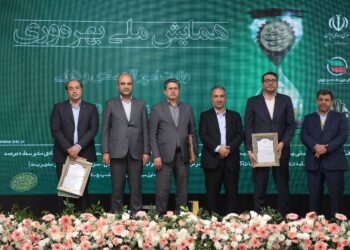 بیمه ایران رتبه نخست بهره وری در سازمان های دولتی را کسب کرد