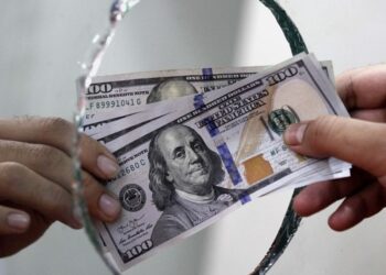 صعود قیمت دلار در بازار ارز تجاری؛ یورو چقدر گران شد؟