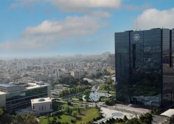 بانک مرکزی باید اختیار ساماندهی موسسات مالی را داشته باشد