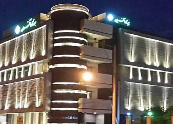 بیمه کارآفرین 790 ریال به ازای هر سهم سود ساخت