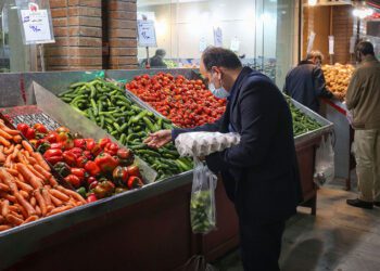 سیاست‌گذاری بدون نان!