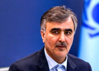 دیدار فرزین با رئیس بانک توسعه نوین بریکس