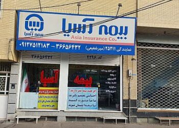بیمه آسیا 61 درصد حق بیمه هایش را خسارت داد