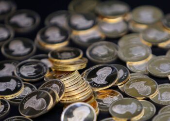 هر کد ملی مجاز به خرید ۱۵ قطعه سکه در پیش‌فروش پاییز ۱۴۰۴ شد