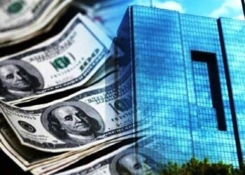 اگر بانک مرکزی هم نداشتیم، وضع دلار همین بود که هست!