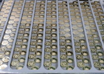 چگونه در حراج سکه شرکت کنیم؟/ محدودیت‌های تازه