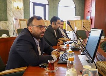 بررسی خط‌مشی‌های کلان توسعه دیجیتال در صنعت بیمه