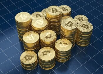 بزرگترین مصادره بیت‌کوین تاریخ