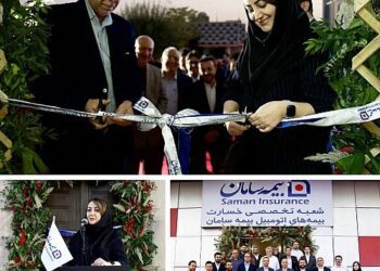 تاکید قائم مقام مدیرعامل شرکت بیمه سامان بر گسترش خدمات آنلاین