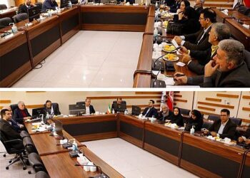 نشست صمیمانه مدیرعامل شرکت بیمه حکمت صبا با نمایندگان منتخب فروش