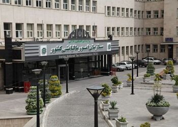 شرط بخشودگی کامل جرایم مالیاتی