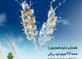 حمایت 96 هزار میلیارد ریالی بانک کشاورزی از مدیریت بحران آب با بذرهای گواهی شده